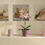 ゲストハウス Cuore Di 3*