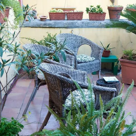 Guest house Cuore Di 3*